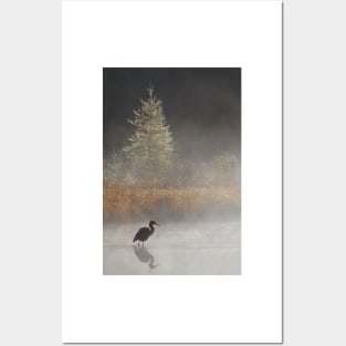 Morning Solitude - Blue Heron Posters and Art